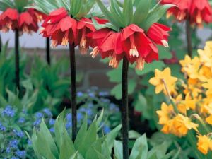 Ünlü Sanatçı Yalın, Denizlili Hayranları İle Buluşacak