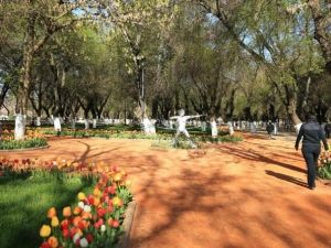 Spor Sevenler Kavaklık Parkına