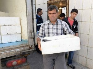 Kumluca’da Bayat Balık Operasyonu