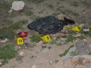 Odun Ararken Yeni Doğmuş Bebek Cesedi Buldular