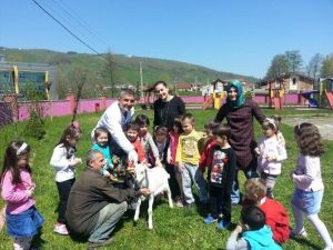 Minik Öğrencilerden Veteriner Hekime İlginç Sorular