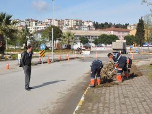 Akçakoca’da Orta Refüj Düzenlemesi