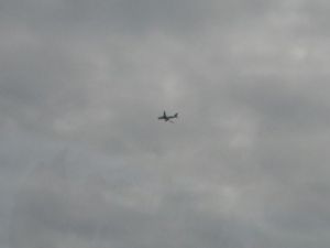 THY Uçağında Havada Yangın Çıktı