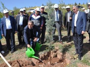 Aksaray’a Necip Fazıl Kısakürek Ormanı