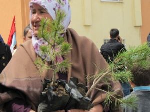 Halka Ücretsiz Fidan