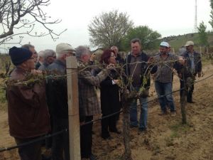 CHP’li Vekil Adayı Biçer, Dondan Zarar Gören Çiftçileri Dinledi