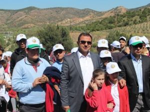 Sarıcakaya’da 2 Bin Adet Çam Fidanı Toprakla Buluştu