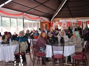 Bilecik MHP Kadın Kolları Başkanlığı’ndan Mithat Körler Konseri