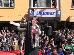 Hdp Iğdır Milletvekili Pervin Buldan: