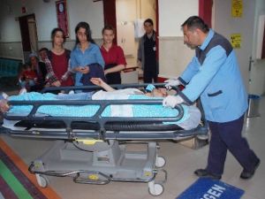 Motosiklet Keçiye Çarptı İki Kişi Yaralandı