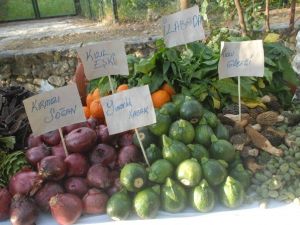 Fethiye Otları İçin Festival