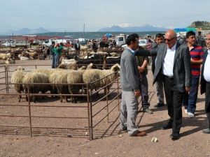 Bağımsız Aday Subaşı, Besicilerle Buluştu
