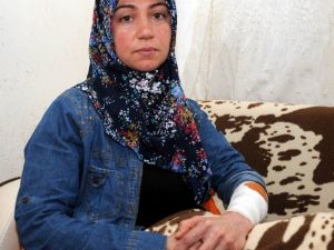 Barınakta Köpek Saldırısı: 2 Yaralı