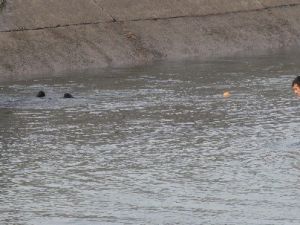 Suriyeli Ailenin Umutlu Bekleyişi Acı Sonla Bitti