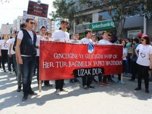 Mesir’e Renk Kattılar