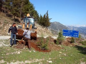 İbradı’da Ağaçlandırma Çalışmaları Başlatıldı