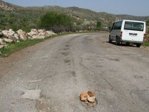 Silvan’da Mayın Düzeneği Bulundu
