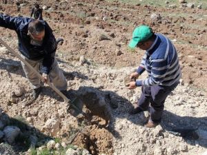 Kocasinan Kaymakamlığı Personeli Çanakkale Şehitler Ormanı’na Fidan Dikti