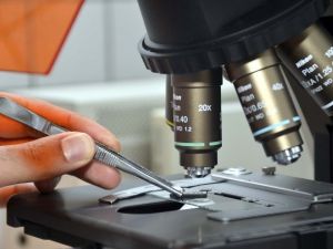 AGÜ Öğretim Üyeleri, Lösemi Tedavisinde Kullanılabilecek Biyoçipler Üzerinde Araştırma Yapacak