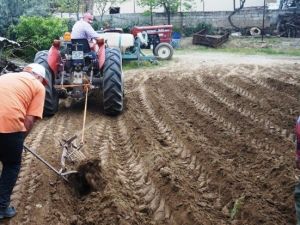 Sarıgöllü Kardeşlerin Pratik Zekası