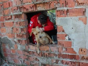 AKUT’tan Kuyuya Düşen Köpeğe Yardım Eli