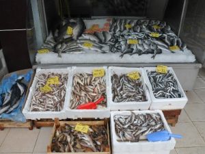 Balık Yasağı Başladı Balık Fiyatları Arttı