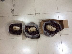 Bitlis’te 1 Kilo 477 Gram Uyuşturucu Ele Geçirildi