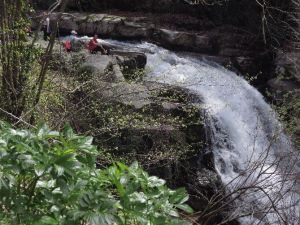 Kovuk Çınar Şelalesi Doğa Severleri Ağırladı