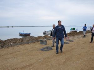 Ayvalık Belediyesi Altınova Sahiline Yürüyüş Yolu Yapıyor