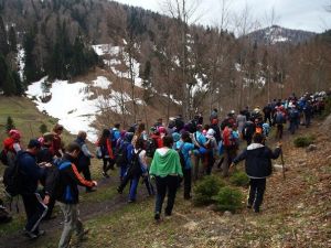 İlkbahar Doğa Yürüyüşleri Hendek Çiğdem Yaylası Parkuruyla Devam Etti