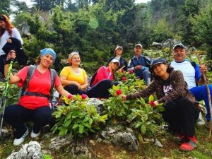 Kepez Antalyalıları Şakayık’la Buluşturdu