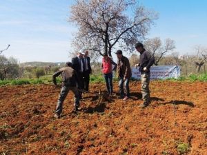 GAP’tan Siirtli Çiftçilere Destek