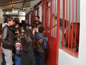 Selçuk’tan Çocuklar İçin 40. Yıl Etkinlikleri