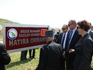 Üniversitede Muharip Gaziler Hatıra Ormanına Fidan Dikildi