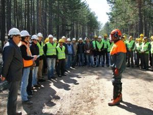 Orman Bölge Müdürlüğü Üretim Tatbikatlarına Başladı