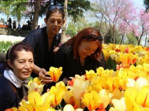 Emırgan Korusuna Lale Akını