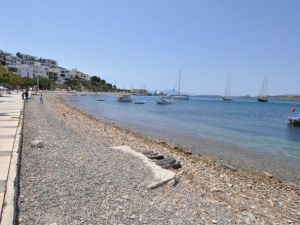 Bodrum’da Sevindiren Görüntü