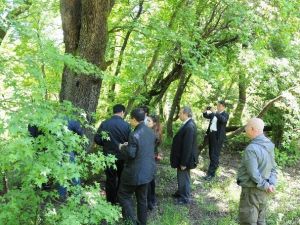 Çinliler Sığla Ağaçlarına Hayran Kaldı