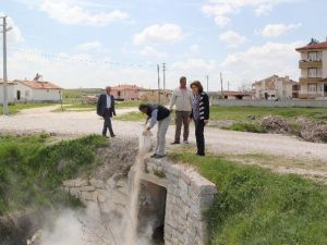 Cihanbeyli’de Larva İlaçlamalarına Başlandı
