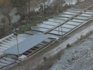 Ftso, Alabalık Üreticilerinin Sorunlarına El Attı