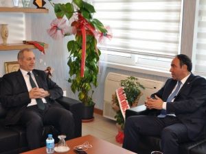 Tümer: "Türkiye Ve Adana İçin Olumlu İşler Yapacağız"