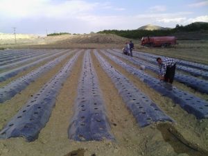 Daredende, Tarıma Değer Katanlar Ödülleri’nde Türkiye 3.sü Oldu