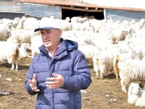 Ankaralı Koyun Keçi Yetiştiricilerinden Hıdırellez Kampanyası