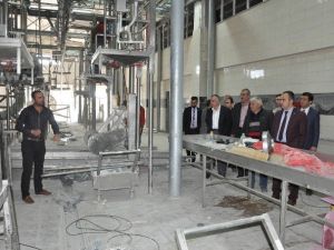 Yeni Mezbaha Açılıyor