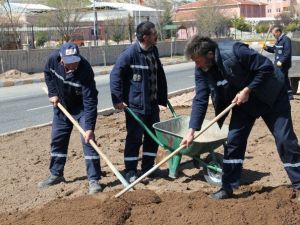 Üniversite Girişinde Yeşil Alan Düzenlemesi Sürüyor