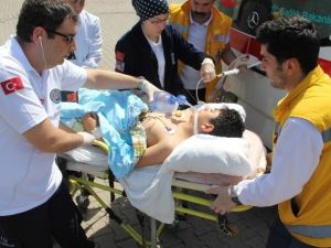 Yaşamla Ölüm Arasında Mücadele