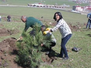 Varto’da Fidan Dikimi