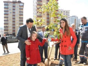 Ortahisar’dan Fidan Dikim Seferberliği