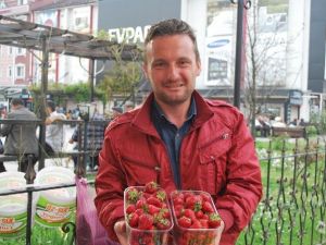 Bartın Çileği Tezgahlardaki Yerini Aldı