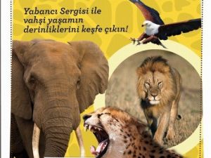 Espark’ta “Vahşi Yaşam” İsimli Fotoğraf Sergisi Açıldı